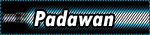 OPJ - Padawan OPJ - Padawan